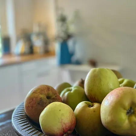 Semesterbostad Idyllic Overlooking Svanninge Hills *