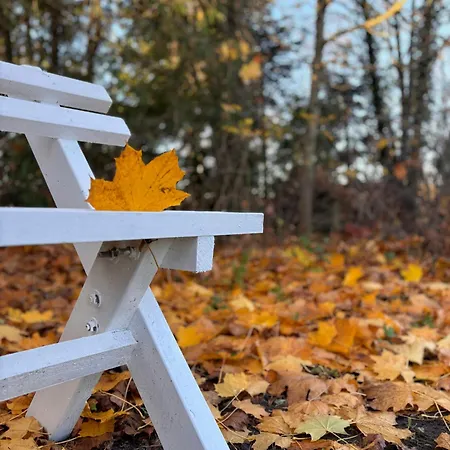 Idyllic Overlooking Svanninge Hills *